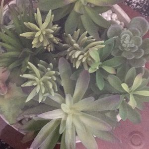 Meet your Posher, Eman